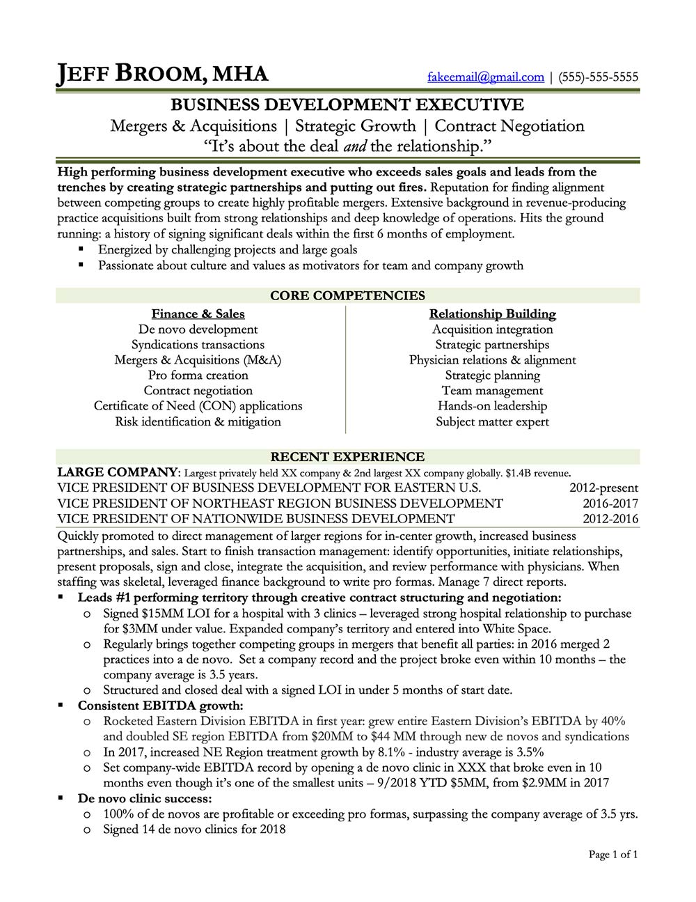 Preview Vice President of Business Development Resume