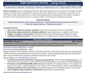 Preview Chief Executive Officer -- Energy Sector