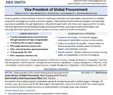 Preview Vice President of Global Procurement / Supply Chain