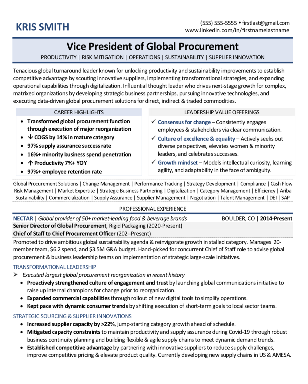 Preview Vice President of Global Procurement / Supply Chain